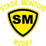 Stade Montois
