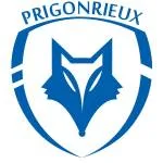 RC Prigontin