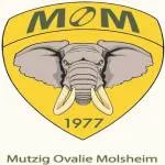Mutzig Ovalie Molsheim