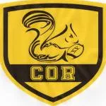 Cazaux Olympique