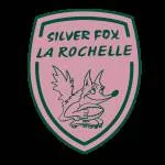 Silver's Fox